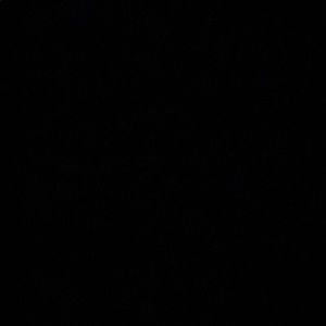 Meet your Posher, Samuel